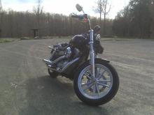 Allegheny State Park