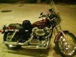 My first harley