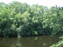 South Carolina Low Lands