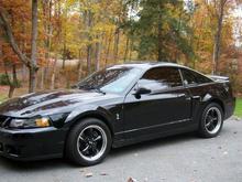 Cobra