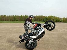 Who says XR1200's don't wheelie? 
C/O Craig Jones
