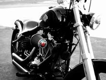 DSC 0010a