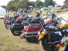 pink,winding creek-2009