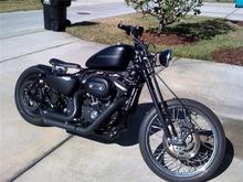 beautiful florida day!