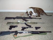 Guns
