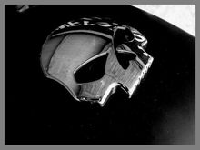 Skull small