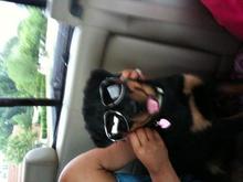 Mom playing dress up in the back of the F150 during a ride