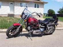 sturgis2