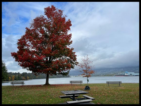 At Brockton Point, looking towards the Lions Gate bridge