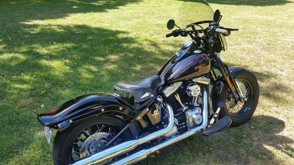 Just one sweet Ride.  My 35 HD  my 4th springer.  The new Heritage will have to be something quite special to pry this from my grips, but the bike I ride most will ultimatley end up pushing the other one on the auction block.  We shall see, one thing for sure, you certainly can make these things ride Saweeeet.  Im talking crash over post earthquake potholes, fishers, undulations and very sh$%$ roads in general at just about any speed you like. No broken tail bone thanks to 65 pan seat on springs