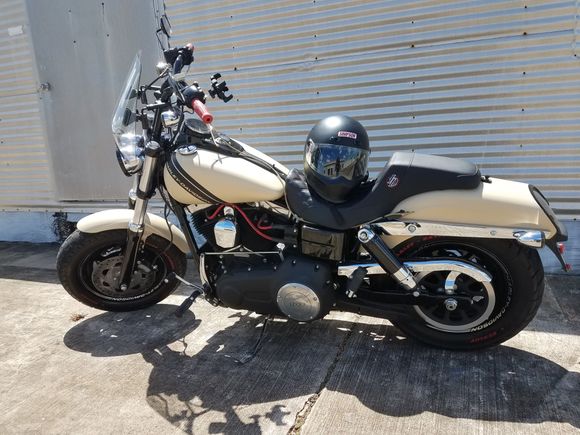 My Fat Bob ''Moonshine"