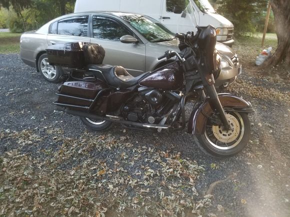 When I first brought her home