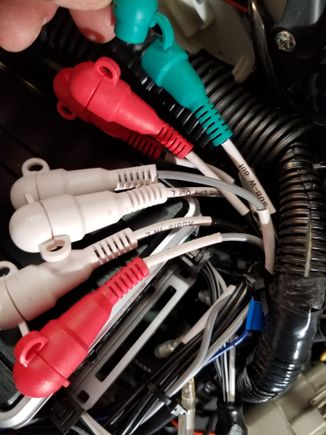 RC plugs from the Head unit.