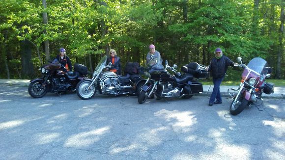 Cougars 2018 (Catch & Release)