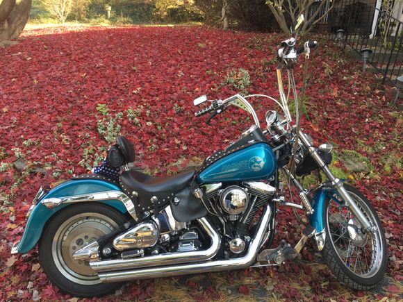 My 94 Softail Custom My way. 