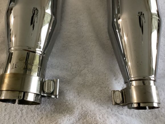 Black spots visible in this picture 