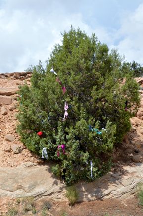 I stopped to take a picture and this was across the road. Someone told me to be careful, it was a booby trap.