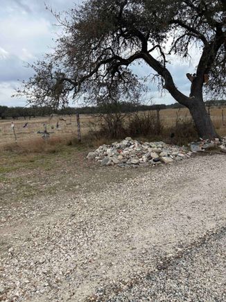 'the gathering tree'?