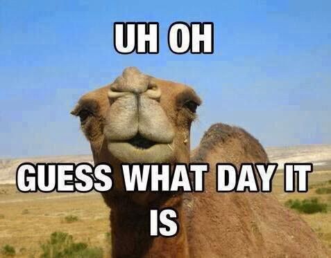 IT'S SATURDAY! !
Morin All.