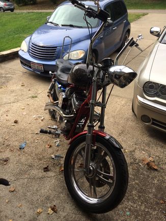 Nearing the coast again, stopped for a plate of oysters before lunch.  Oops all gone :)