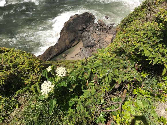 Look for the Sea Lions, thee are in the Center of the sand pit. The last time I was here they where all out. Must still be in the caves.