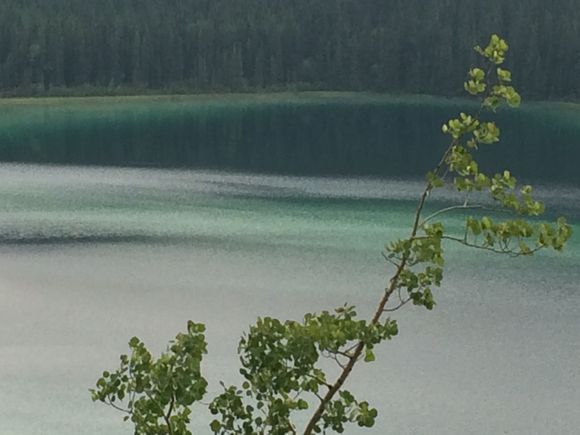 Emerald Lake by Carcross