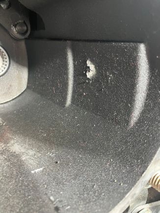 Lucky me, I got to clearance a little. 