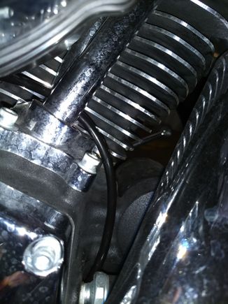 Ran the tube down to the bottom. Just using a air stone for now, am going to get one of the catch cans from DK.