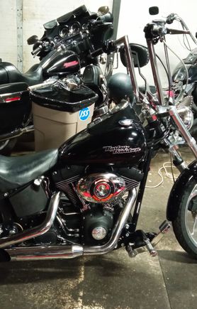 Newest addition orig. HD Air cleaner cover