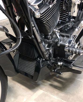 Very Tasty In Vivid Black