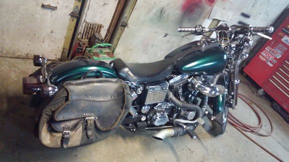 My Dyna's new look