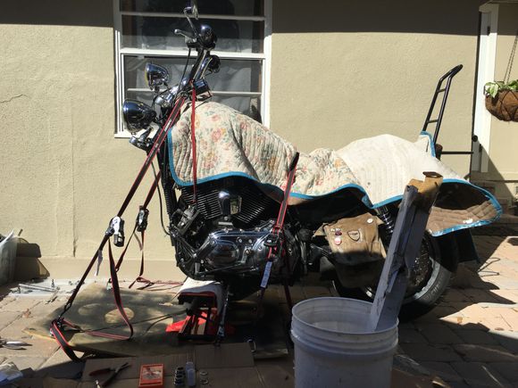 Forks out. Springs are in the box/bucket in foreground to collect oil and keep things clean