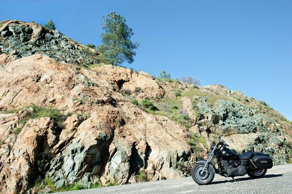 2010 Fat Bob