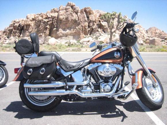 '08 Fat Boy2