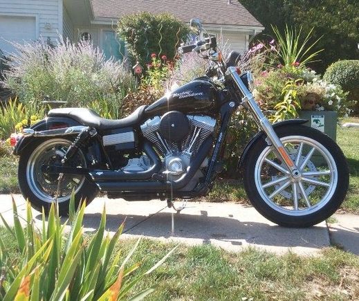 08 Dyna 1
