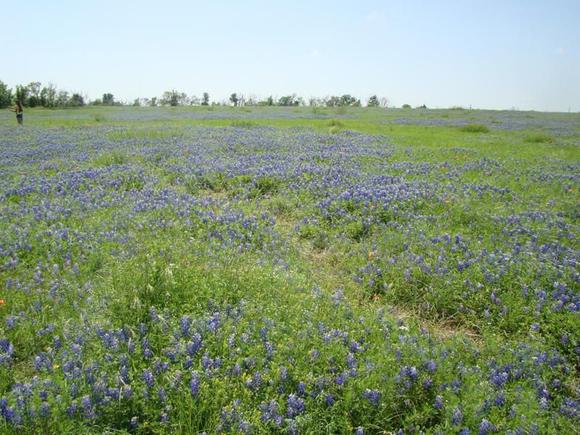 290 Just outside of Brenham