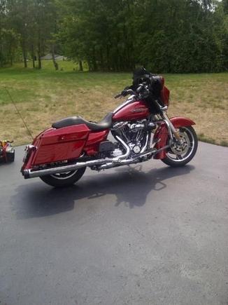 What she looked like the day I  picked her up!