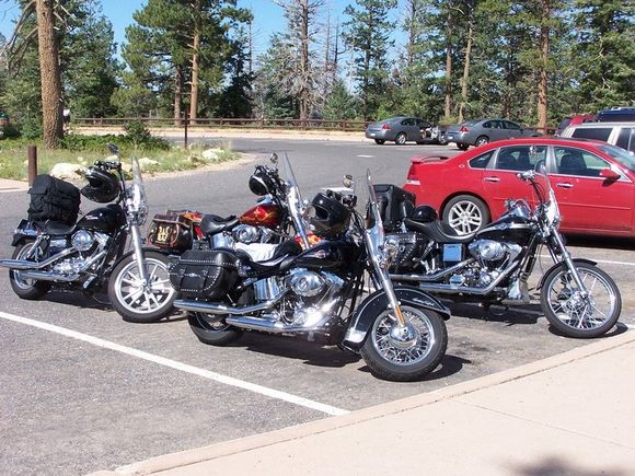 our gang of 4 in Utah at 9115 feet elevation in Bryce Canyon, Aug 2008