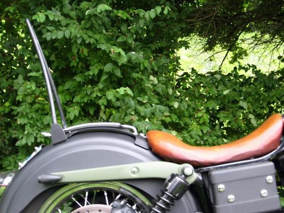 Custom Sissy Bar and Plug and Play style Bracket