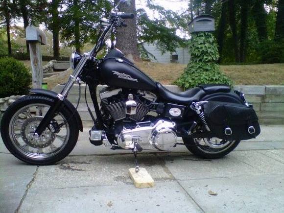 dyna w bags