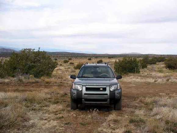 my freelander