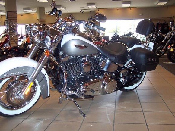New baby still sitting on the showroom floor