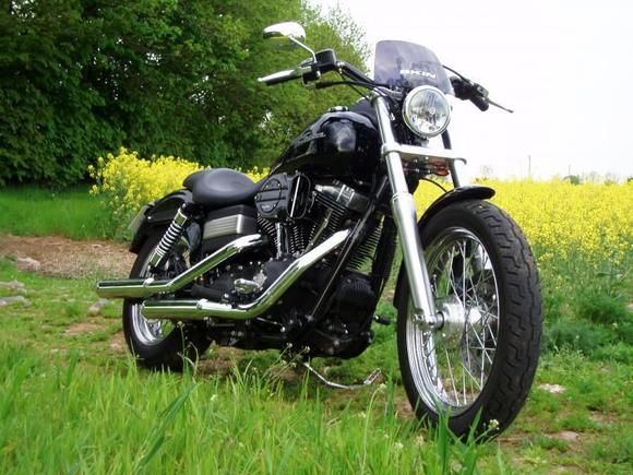 street bob pics 1 003