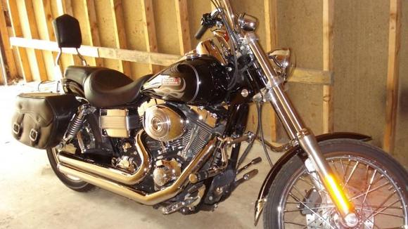 My FXDWGI - Makes me grin on a daily basis  : )