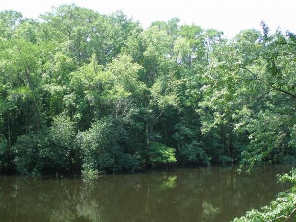 South Carolina Low Lands