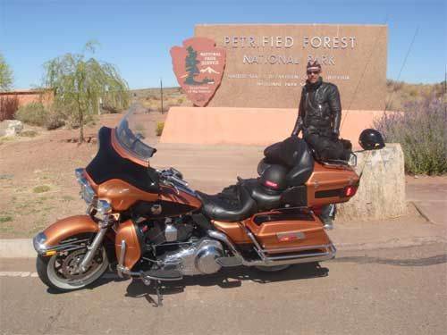 petrified forest