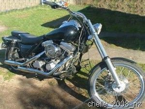 My 88 FXR-P