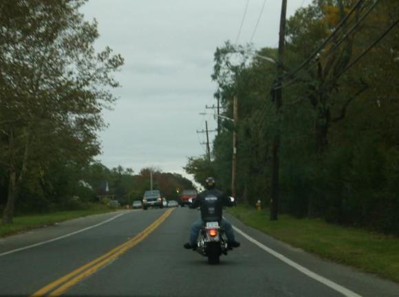 Yes Virginia, we have trees and grass in NY...