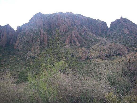 Chisos Basin campground