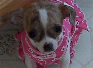 peaches, adorable huh